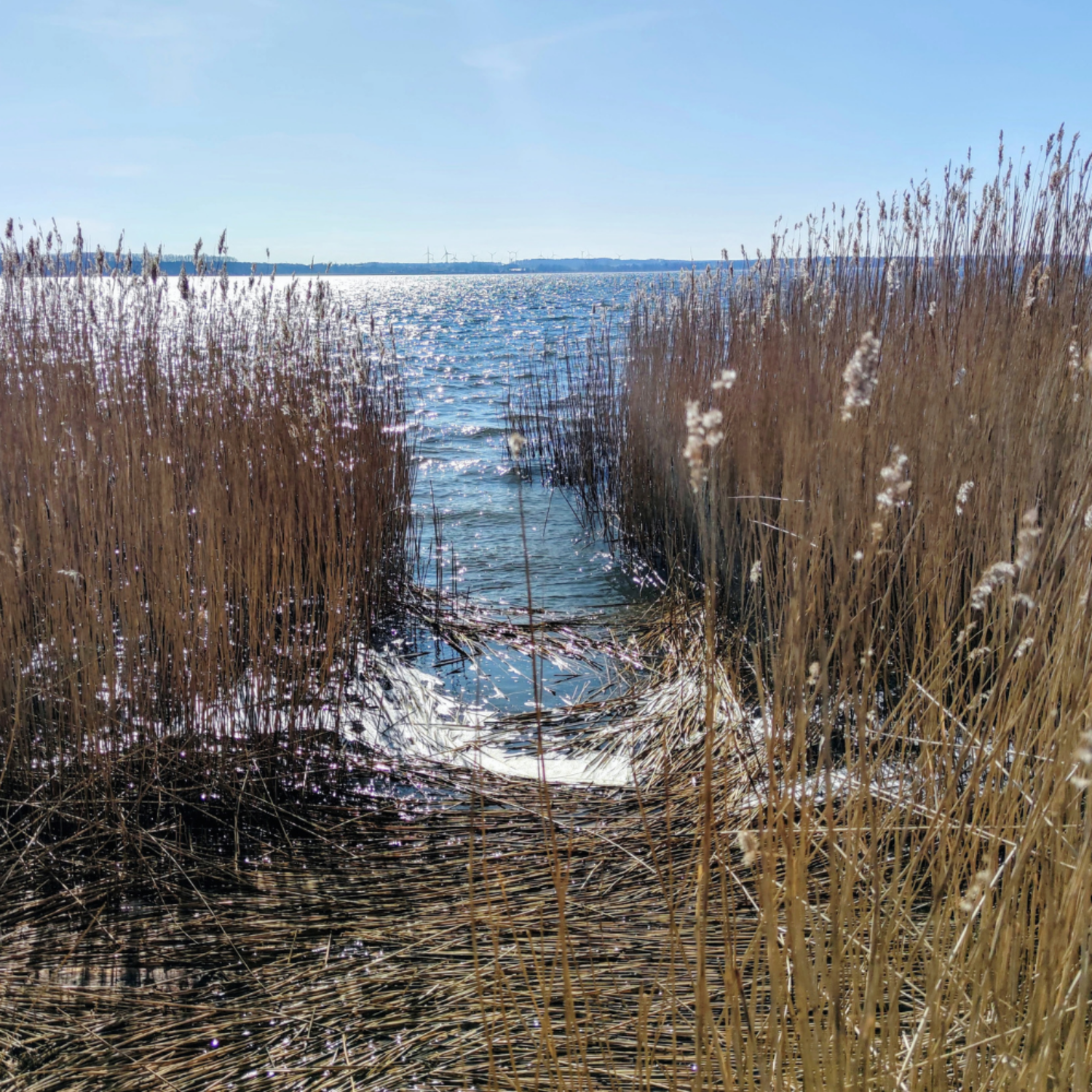 Marwede Immobilien