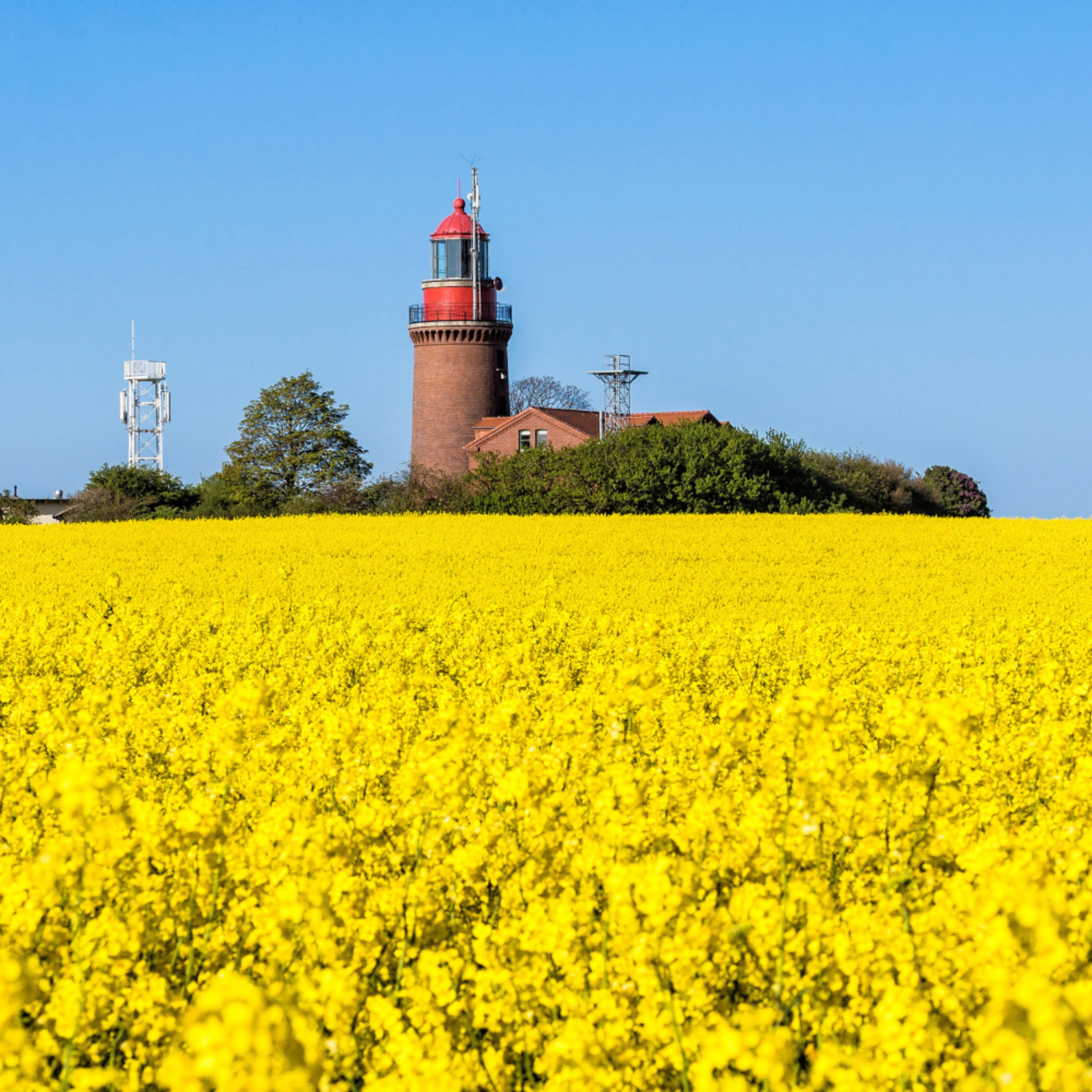 Marwede Immobilien